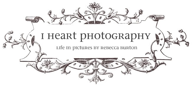 I Heart Photography