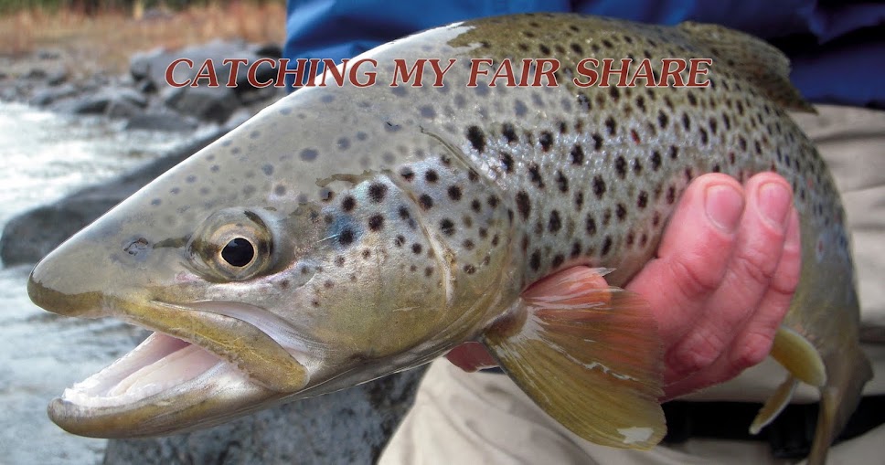 Catching My Fair Share