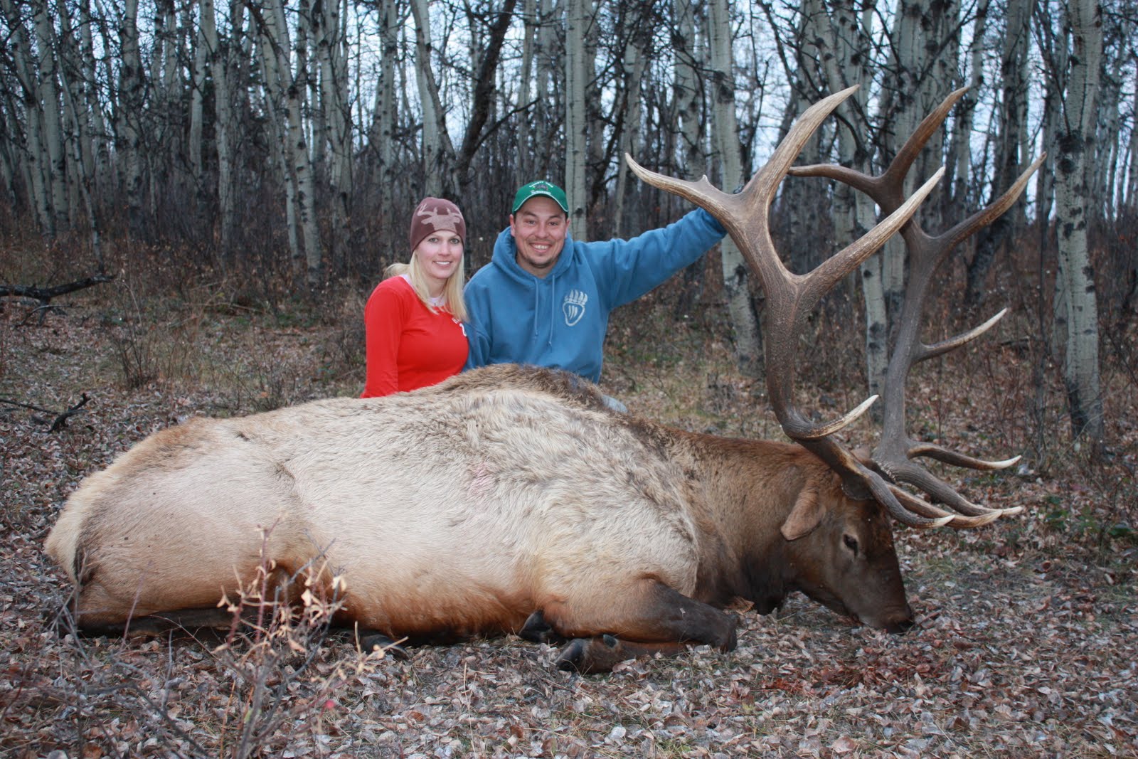 Outdoor Quest TV Series GREAT DAY FOR ELK HUNTING