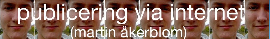 Martin: Publicering via internet