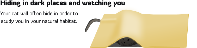 [hiding.png]