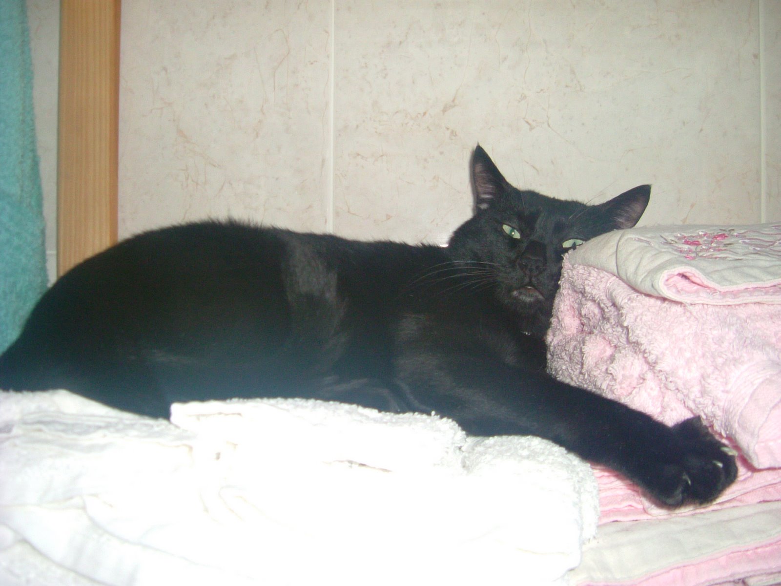 [DSCF0513.JPG]