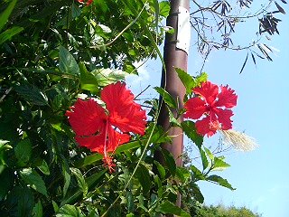 [DSC00507-707921.JPG]