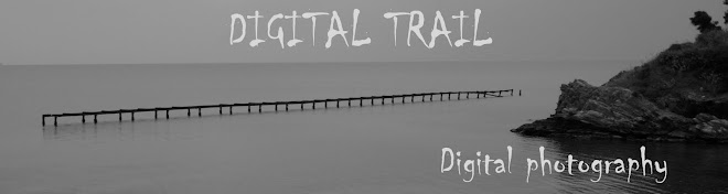 Digital Trail