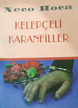 Kelepçeli Karanfiller