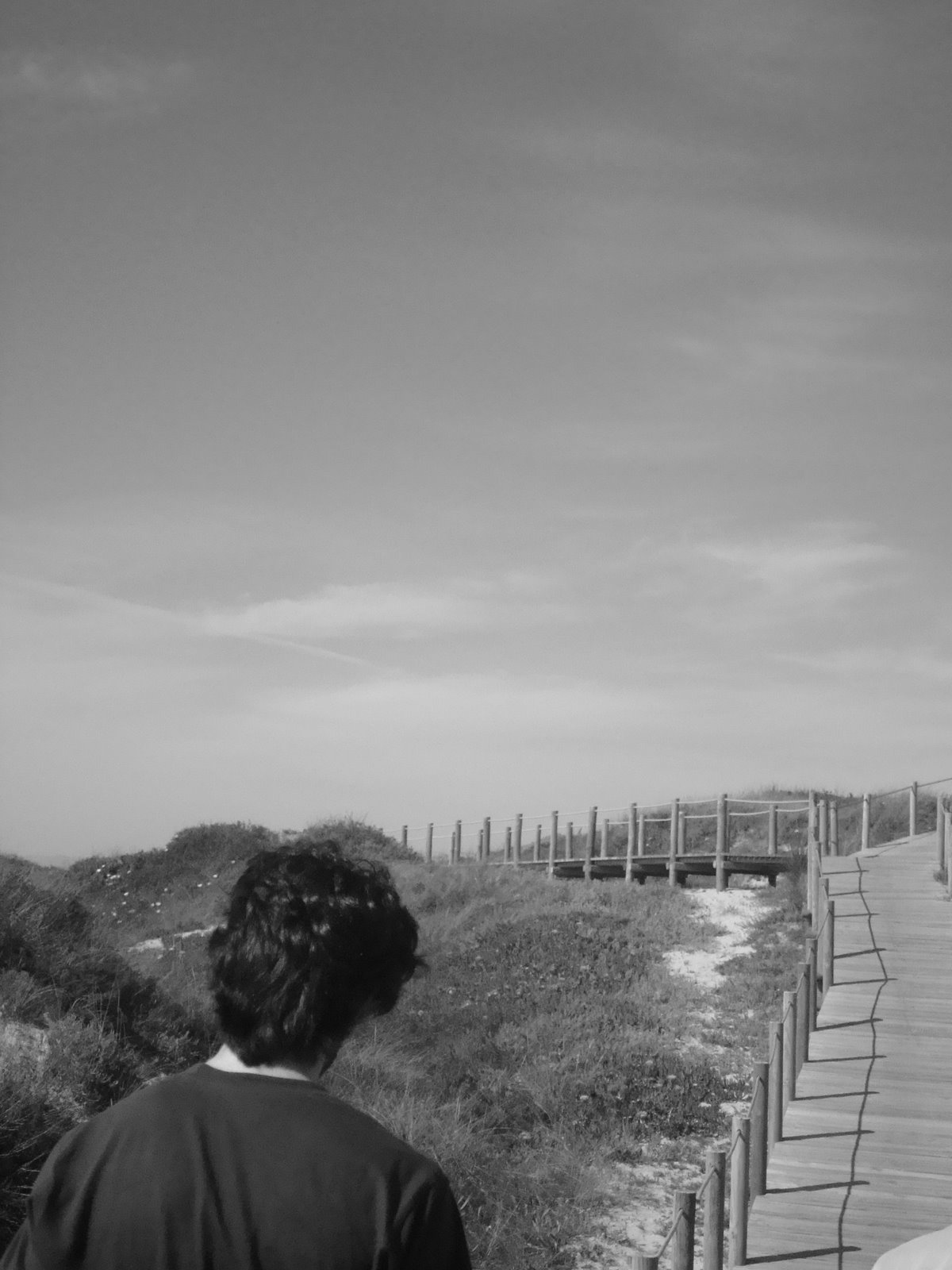 [DSC09040.JPG]