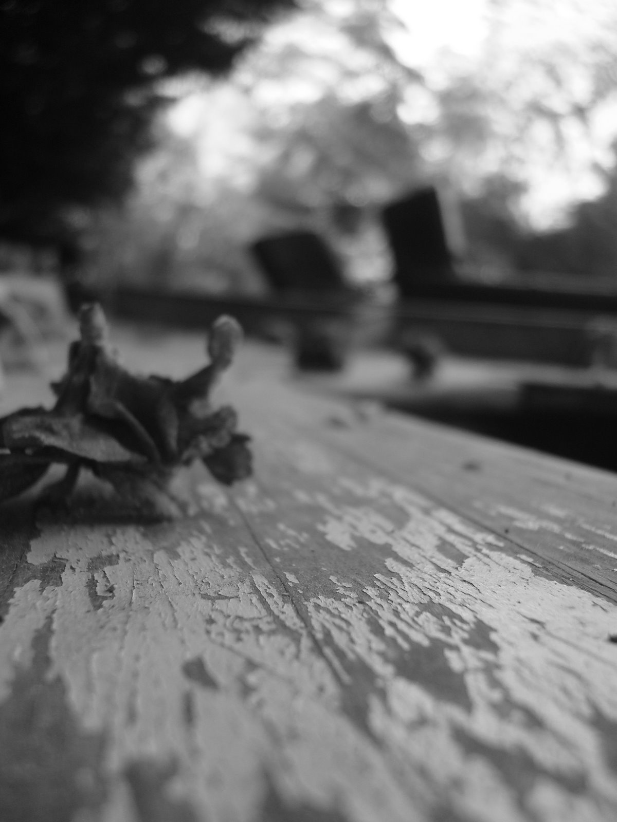 [DSC02364.JPG]