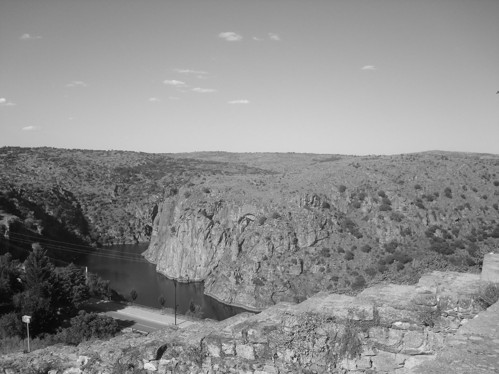[DSC03655.JPG]