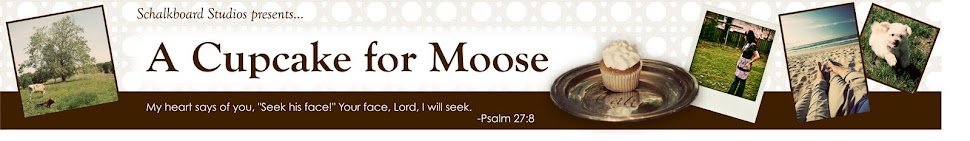 A Cupcake for Moose