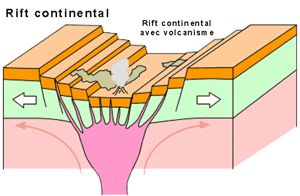 Ciències de la Terra i el Medi Ambient