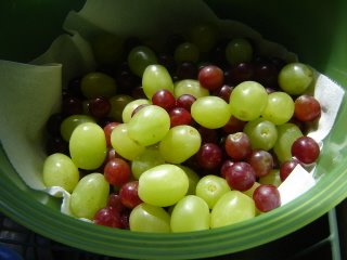 [grapes.jpg]