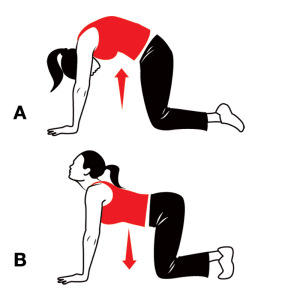 camel cat exercises exercise stretch tilt pelvic yoga move postural pose anterior stretching lower fitness limits routines plan stretches excess