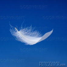THE FLOATING FEATHER