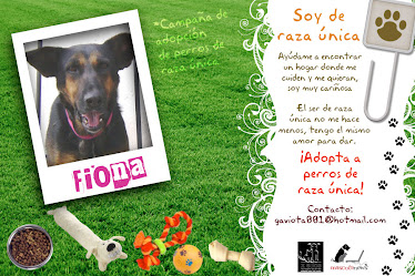 Campaña de adopción para perros de raza única