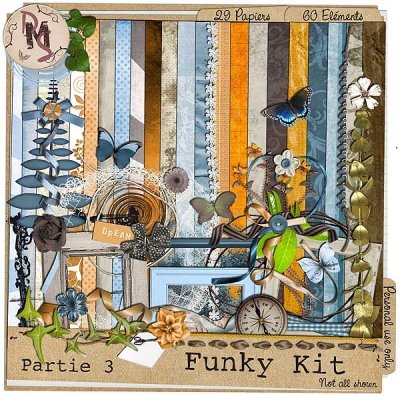 [Funky_Kit_partie_49ef818f4f8c0_400x400.jpg]