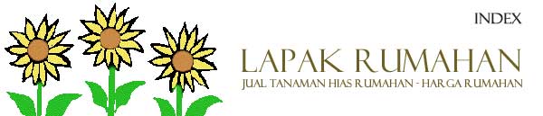 LAPAK RUMAHAN - JUAL TANAMAN KOLEKSI RUMAHAN