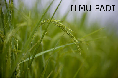 Siswa Tkj Karawang Tumbuhkanlah Ilmu Padi Agar Kita Tidak Sombong