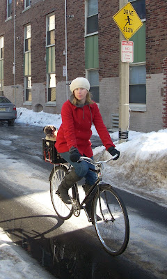 winter cyclist photo bike bicycle