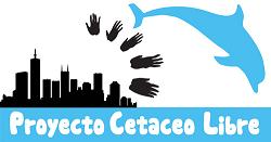 Protección global para los delfines