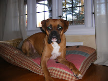 Lilly