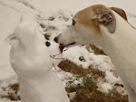 Wilber and the snow cat