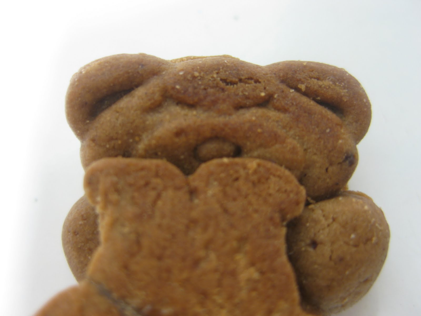 Fat Teddy
