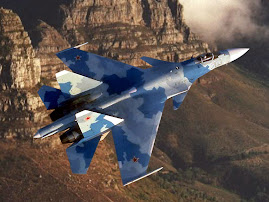 Sukhoi 33