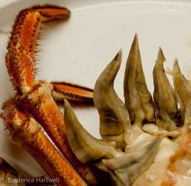 Through the Gaps! Newlyn Fishing News Saturday night pan fried whole Newlyn crab with your