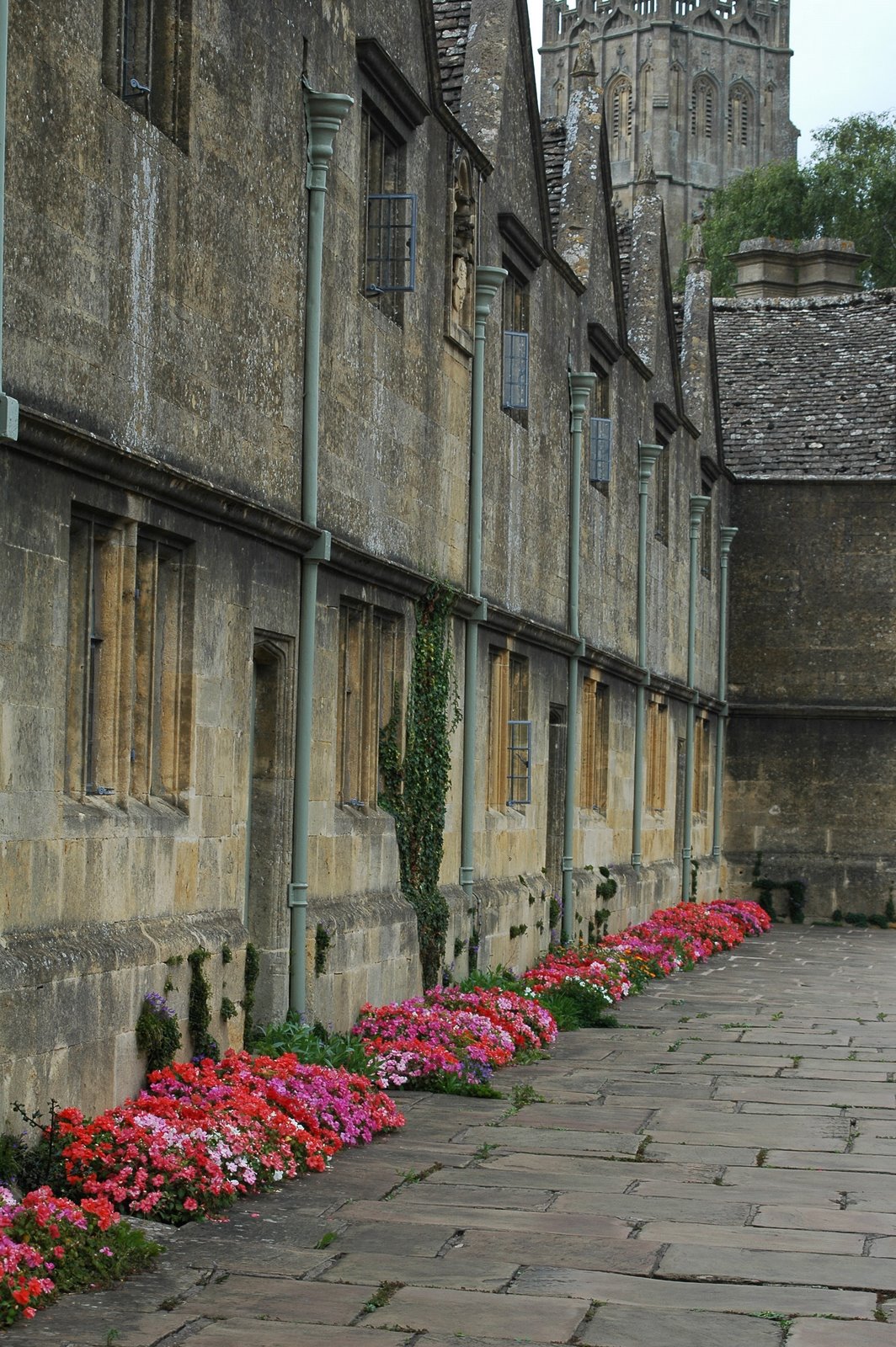 [flowers.JPG]