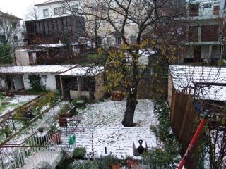 [neve.jpg]