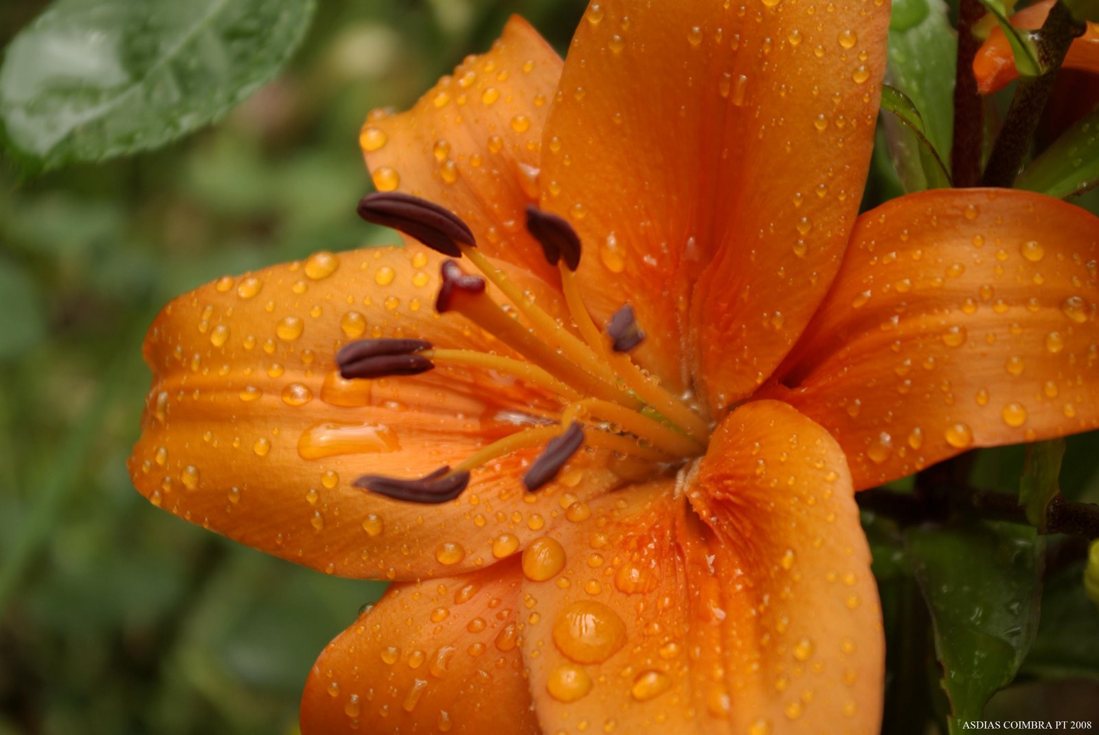 [Watermark_236.jpg]