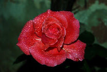 UMA FLOR
