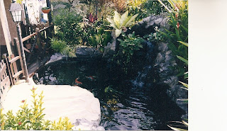 koi-pond-concrete-build9.jpg