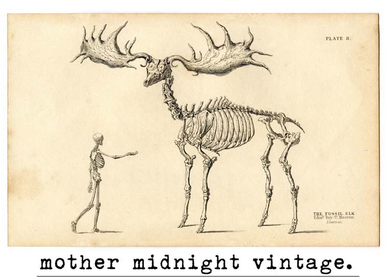 Mother Midnight Vintage