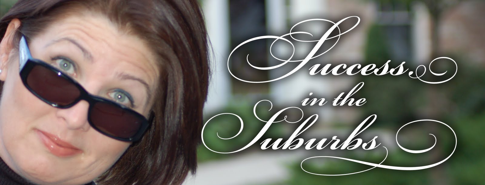 Stepmother In The Suburbs