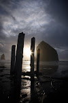 Coastal Storm