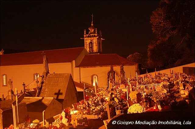 [0Gois+property++002.JPG]