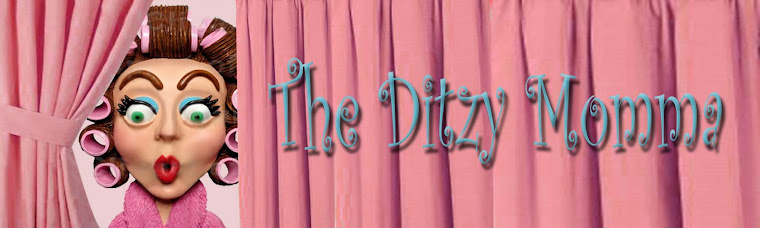 The Ditzy Momma