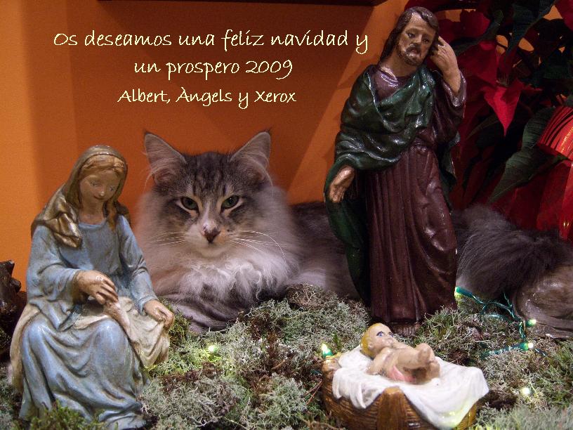 [feliz+2009.jpg]