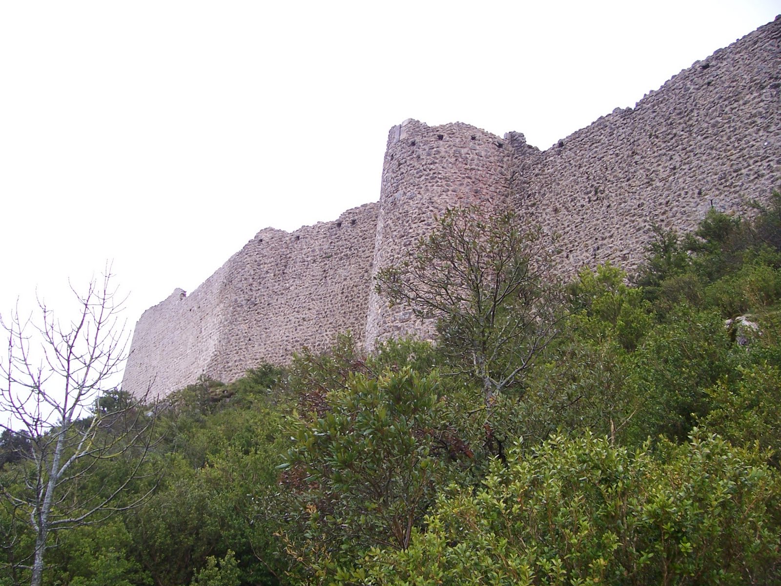 [100_7676.JPG]