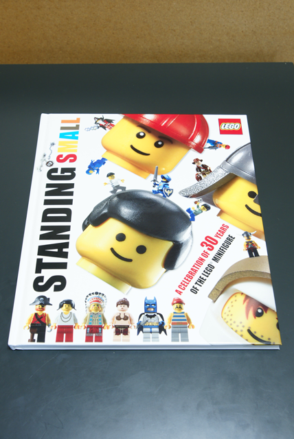 [TheLegoBook-09.png]