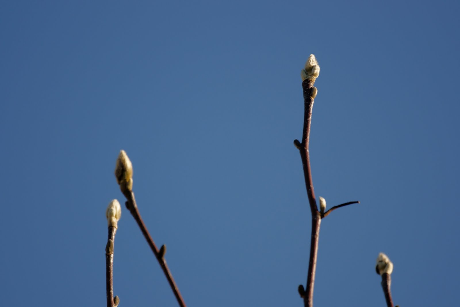 [DSC08119-02.JPG]