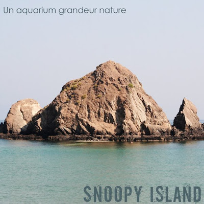 Snoopy+island