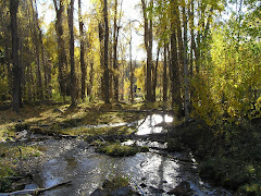 Logan Canyon