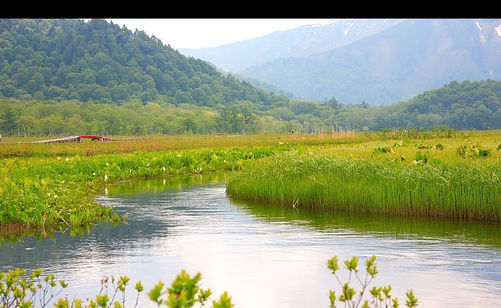 WALLPAPERMANIACAL - Desk TOP Wallpaper: Japan Pack Wallpaper