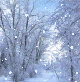 falling_snow_trees.gif