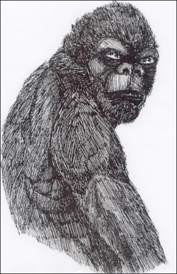 [bigfoot.jpeg]