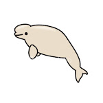 Adopte una Beluga