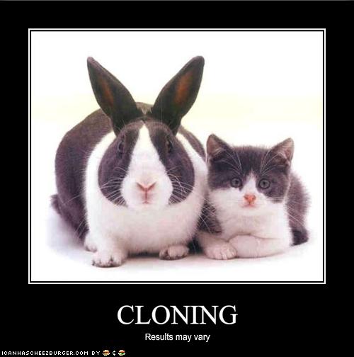 [funny-pictures-cloning-results-may-vary.jpg]