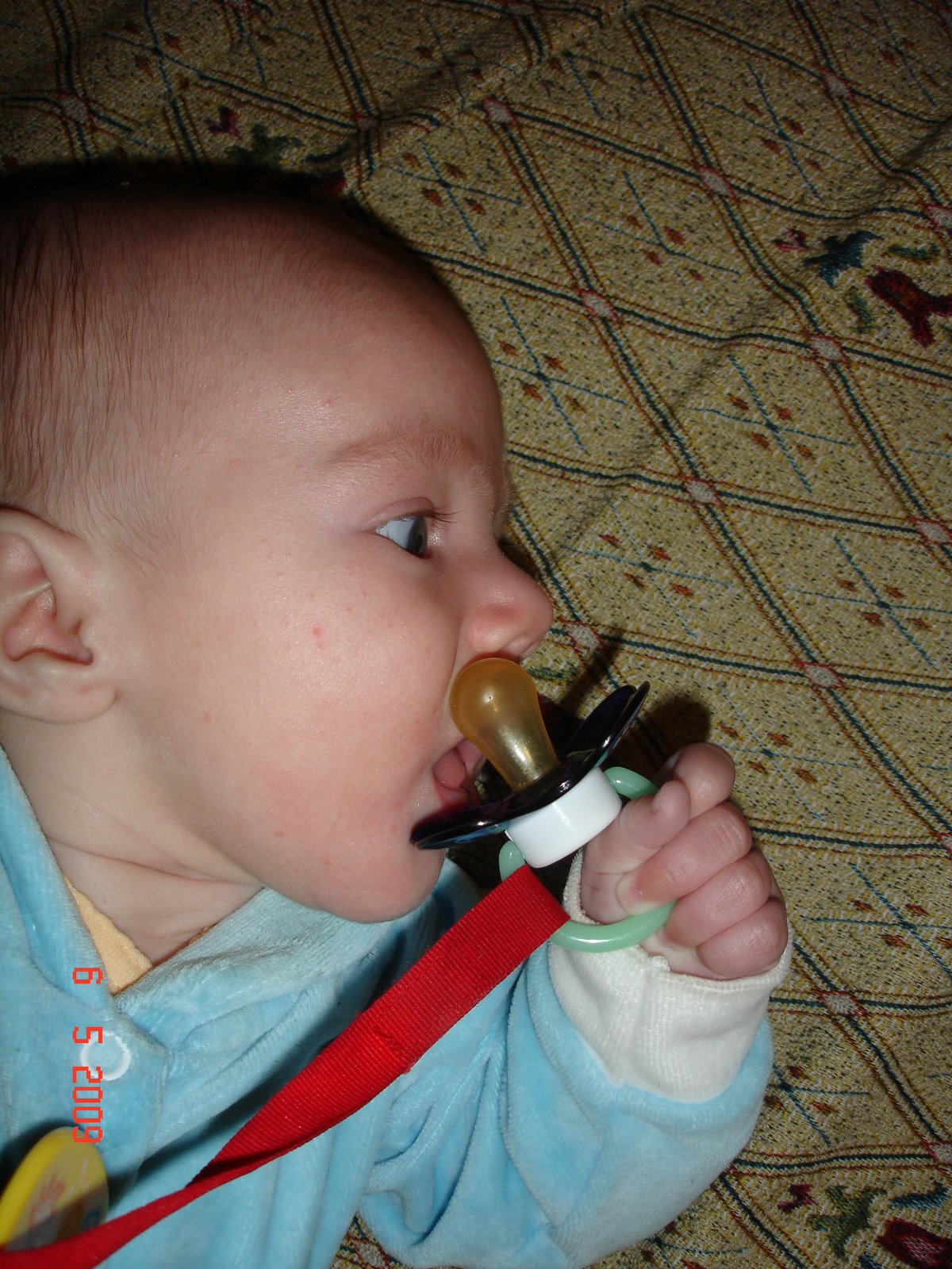 [DSC02410.JPG]